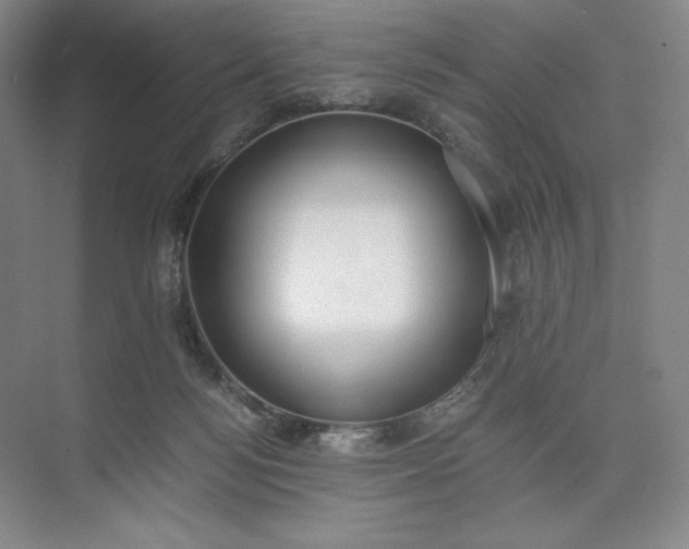 X0000073510172200608140943