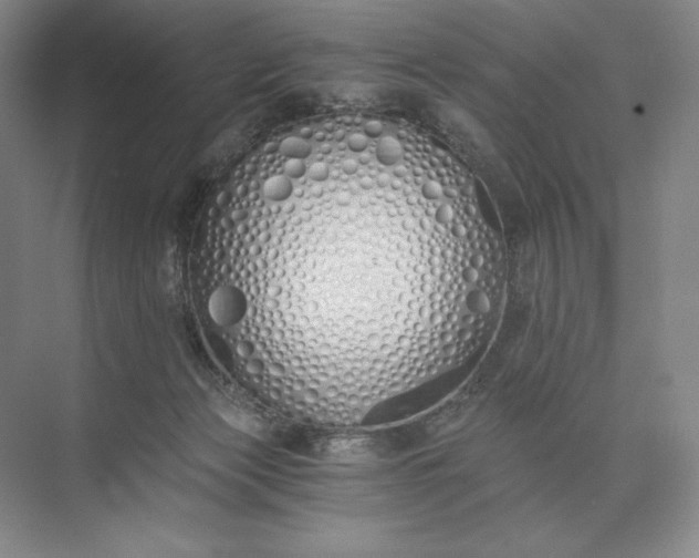 X0000073510173200608140943