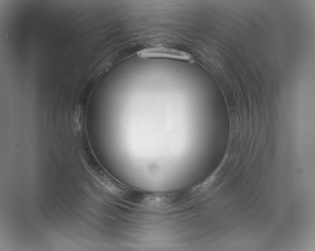 X0000073510174200608140943