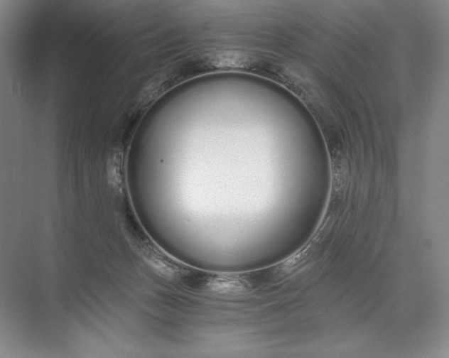 X0000073510175200608140943