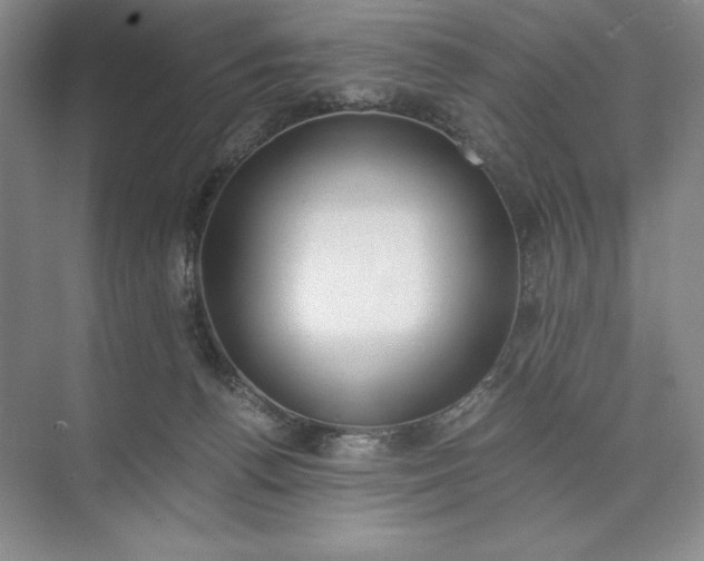 X0000073510176200608140943