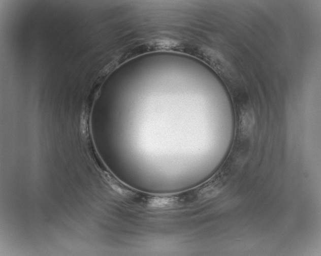 X0000073510177200608140943