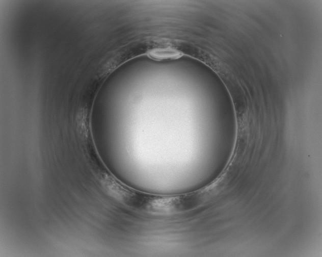 X0000073510178200608140943