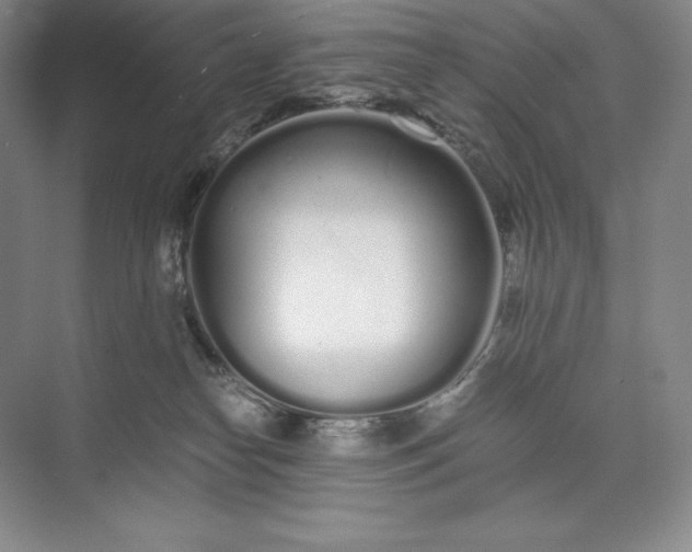 X0000073510182200608140944