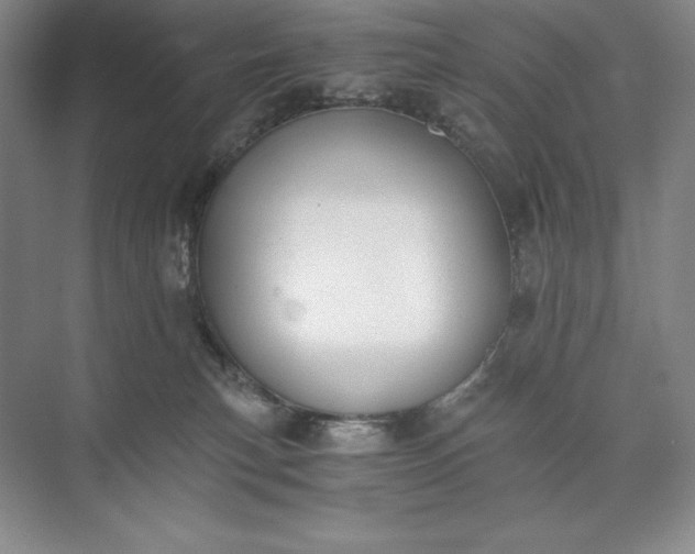 X0000073510183200608140944