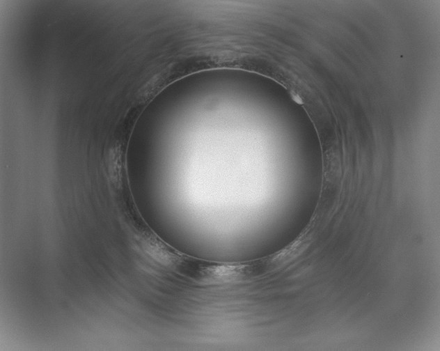 X0000073510184200608140944
