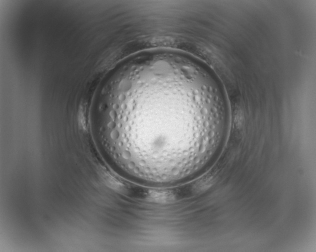 X0000073510185200608140944