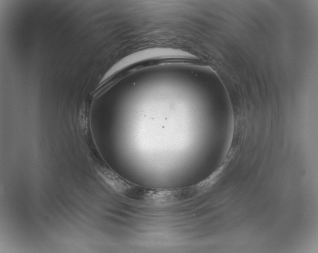 X0000073510186200608140944