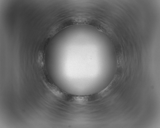 X0000073510187200608140944