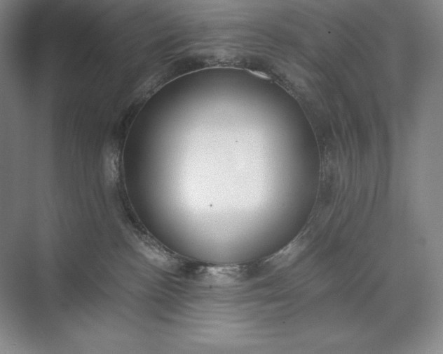 X0000073510188200608140944