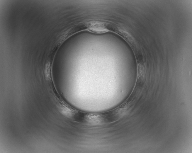 X0000073510189200608140944