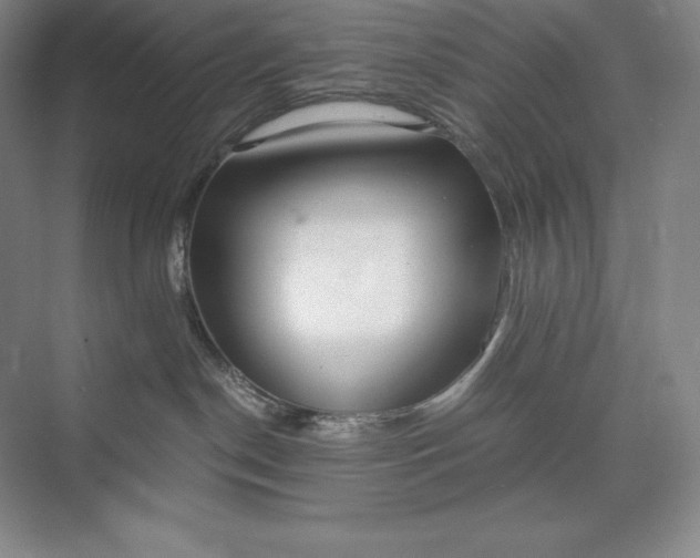 X0000073510190200608140944