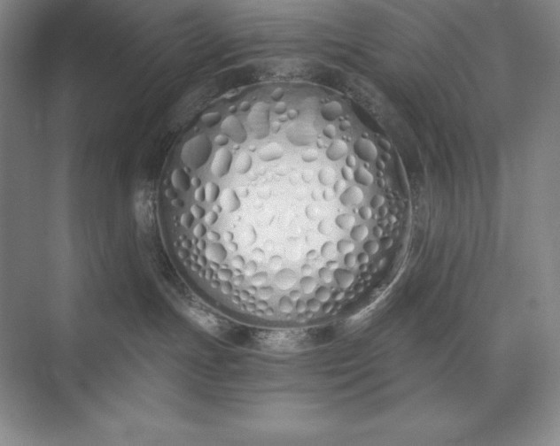X0000073510191200608140944