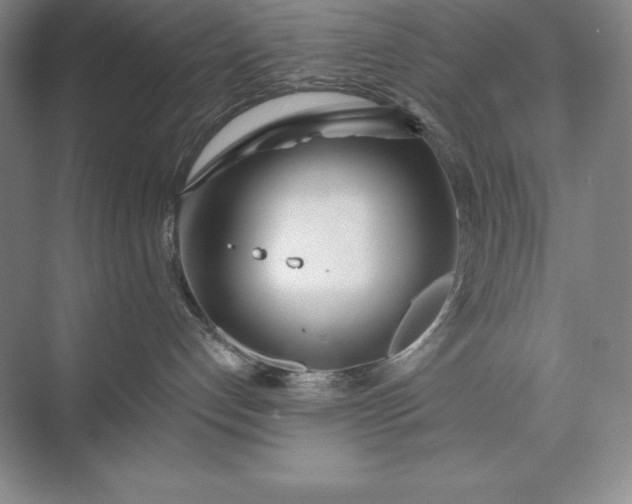 X0000073510192200608140944