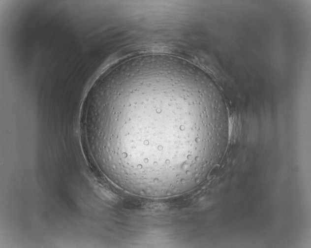 X0000073510195200608140943