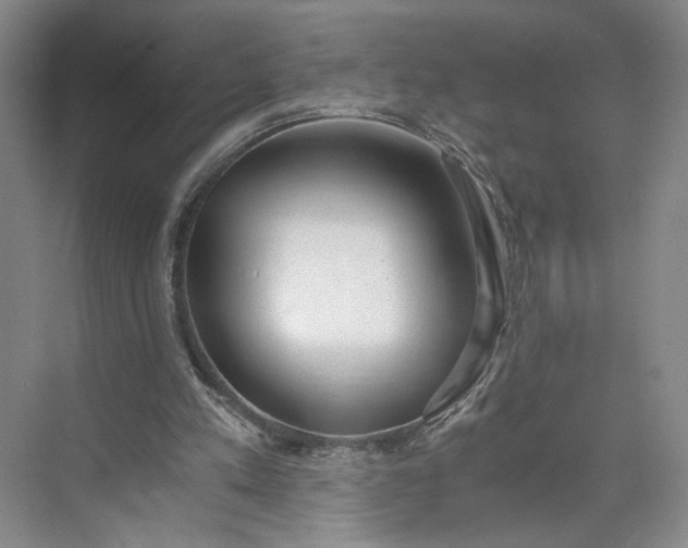 X0000073510197200608140943