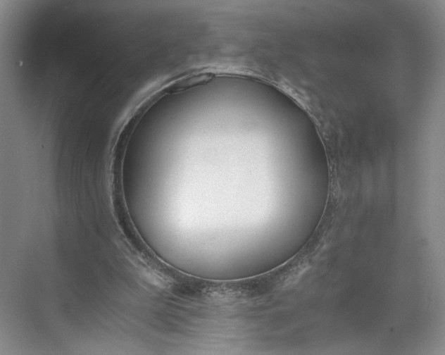 X0000073510199200608140943
