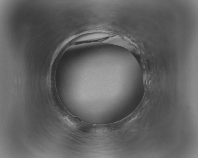 X0000073510200200608140943