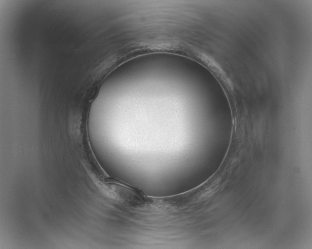 X0000073510201200608140943