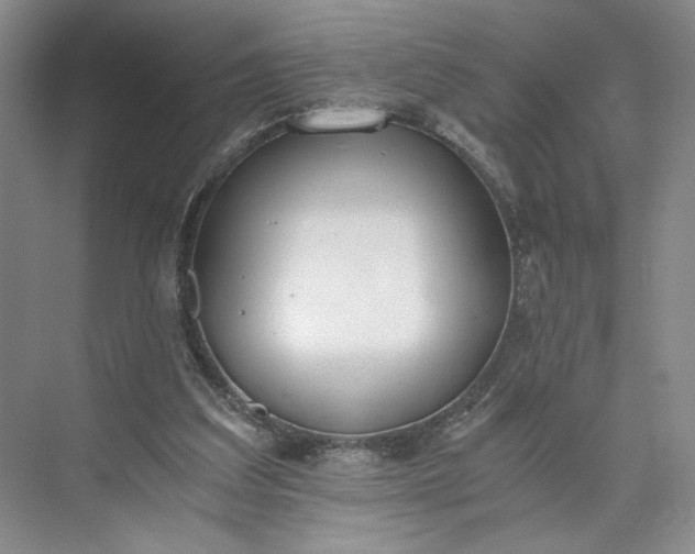 X0000073510203200608140943