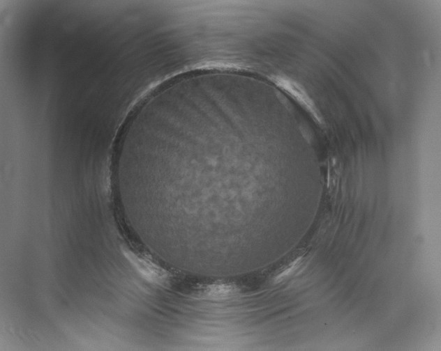 X0000073510204200608140943