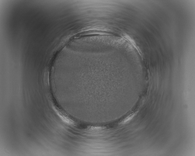 X0000073510205200608140943