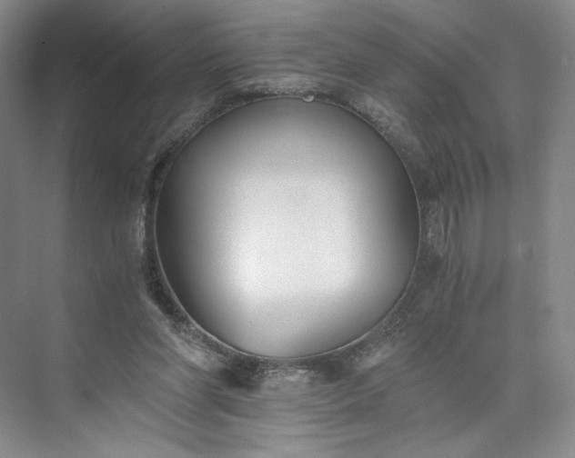 X0000073510206200608140943