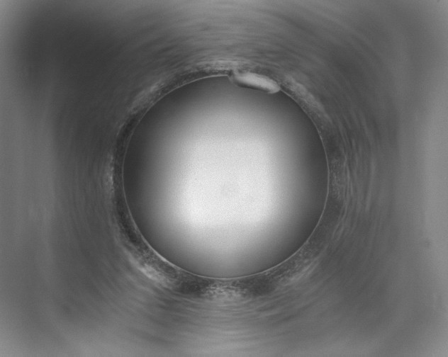 X0000073510207200608140943