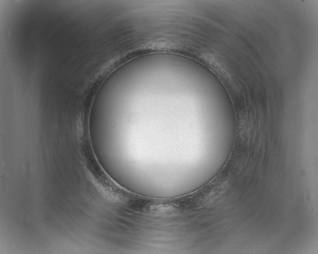 X0000073510208200608140943