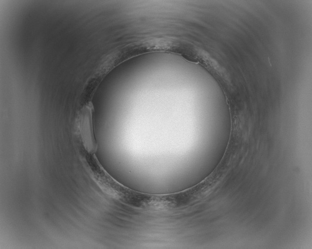 X0000073510209200608140943