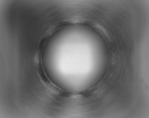 X0000073510210200608140943