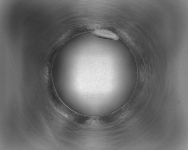 X0000073510211200608140943