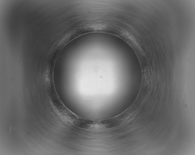 X0000073510212200608140943