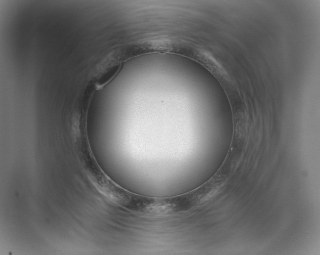 X0000073510213200608140943