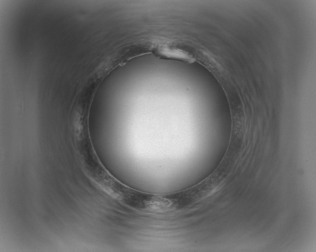 X0000073510215200608140943