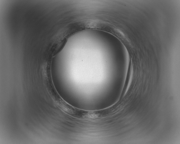 X0000073510217200608140942
