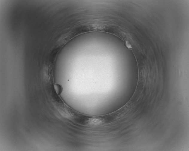 X0000073510218200608140942