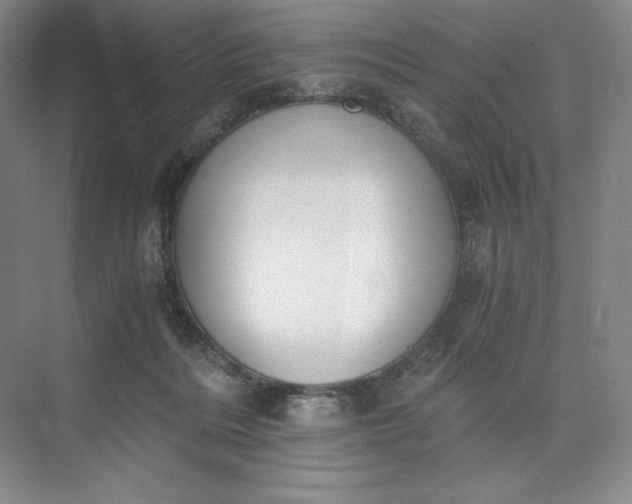 X0000073510220200608140942