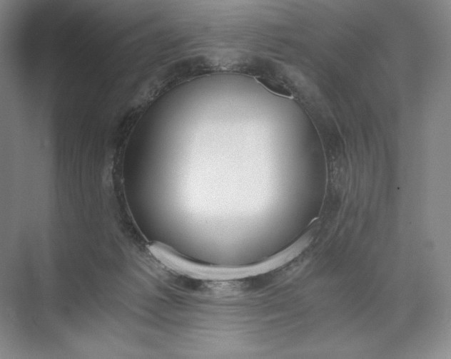 X0000073510221200608140942