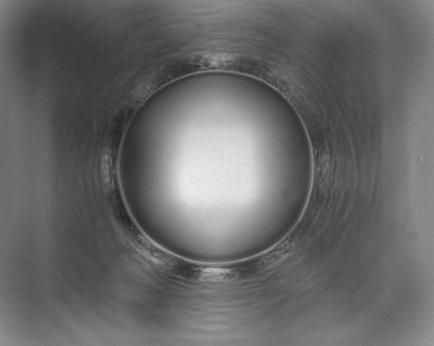 X0000073510222200608140942