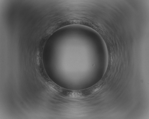X0000073510223200608140942