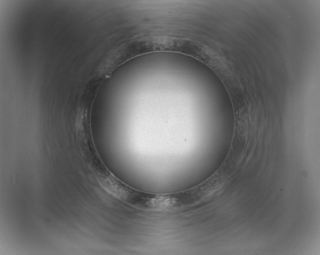 X0000073510225200608140942