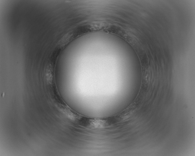 X0000073510226200608140942