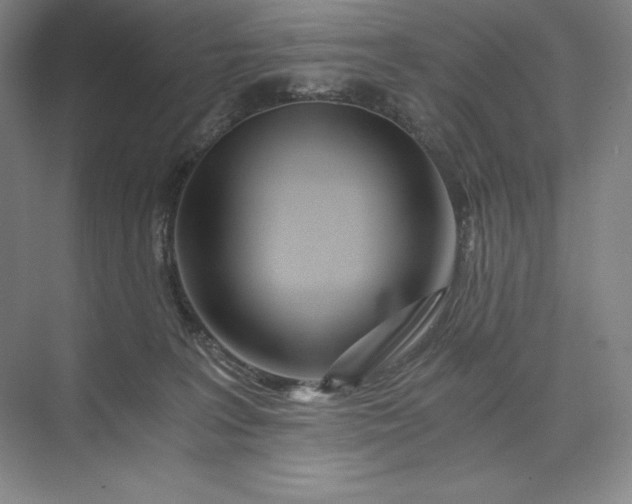 X0000073510227200608140942