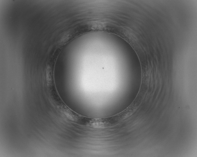 X0000073510228200608140942