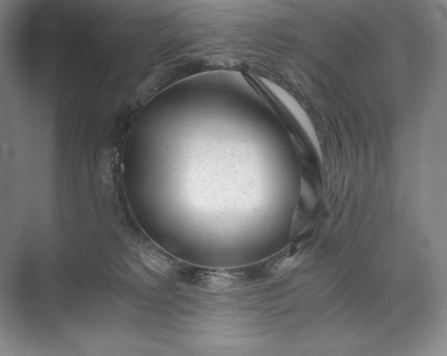 X0000073510229200608140942
