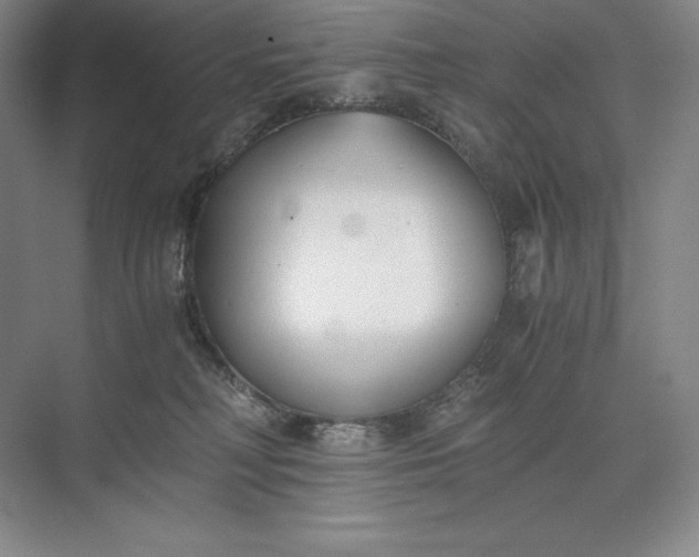 X0000073510230200608140942
