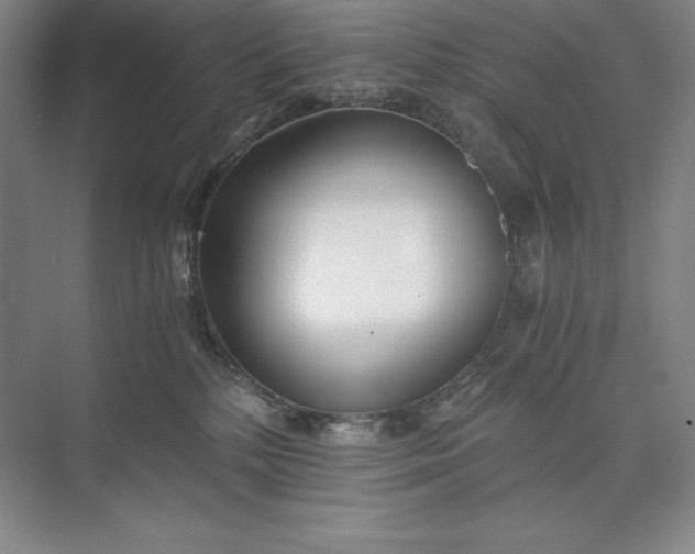 X0000073510232200608140942