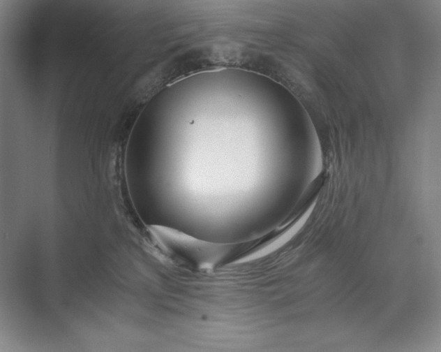 X0000073510233200608140942