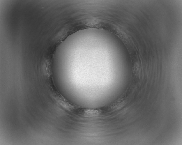 X0000073510234200608140942